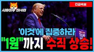 [시바이누 코인 전망] "1원"까지 수직 상승 가능! 연말 밈코인 '이것' 집중하세요!