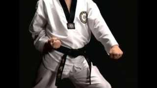 Basic Motions - MAKKI - Taekwondo Technics in English [HD]