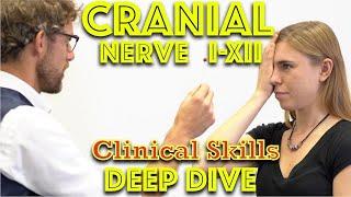 Cranial Nerve Examination - Deep Dive - Clinical Skills - Dr Gill