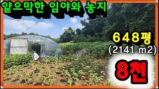 매물- 2243[당진토지][당진전원주택][이안부동산]아늑한산아래 얕으막한 임야와 농지