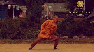 Shaolin 13 Luohan Rou Quan Routine ·  柔拳羅漢十三式