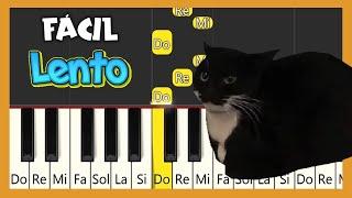 MAXWELL EL GATO - PIANO FÁCIL Lento