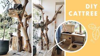 I built a CAT TREE with a built-in litterbox using branches