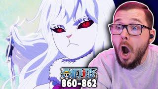 SULONG Carrot! I'm a Furry Now! (One Piece Reaction)