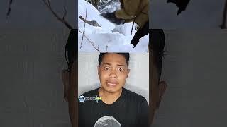 Seorang gadis yang membakar ayam di hutan salju
