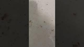 На 26-м в Маймаксе проблемы с водой!