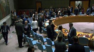 Reforma do Conselho de Segurança da ONU em pauta | AFP