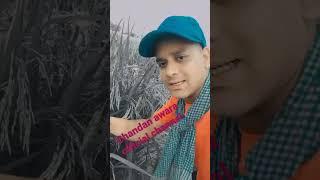 chandan awara official channel scribble jarur kar