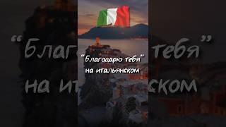 Благодарю тебя” на итальянском