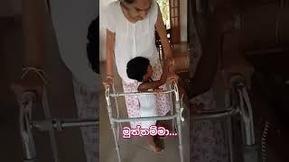 කොහෙද මේ එක්කරන් යන්නේ | My great grandma #shorts #subscribe #baby #greatgrandma #iamayaan