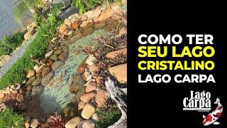 COMO TER UM LAGO CRISTALINO DA LAGO CARPA