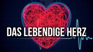  LIVE PROGRAMM: Das lebendige Herz