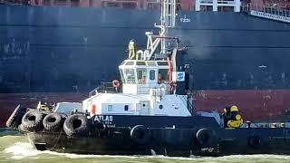 MSC Michela entrando na barra do Porto de Itajaí, para atracar na Portonave