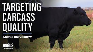 Breeding Cattle for Certified Angus Beef Premiums - Targeting the Certified Angus Beef Brand