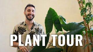 PLANT TOUR ESTATE 2021 | Parte 1