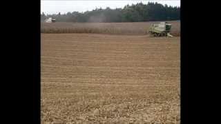 Mais dreschen mit Claas Lexion vom LU Kerler*Teil 2*