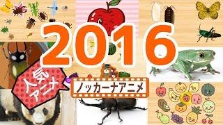 2016 年間ランキング 人気動画まとめ子供向けアニメ赤ちゃんが喜ぶ動画 anime kids