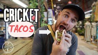 Eating cricket tacos for the first time