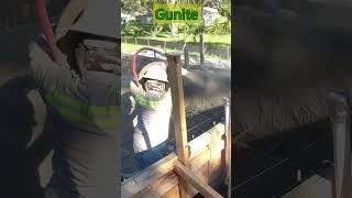 Gunite #shorts #shortsvideo