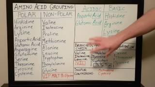 Amino Acid Grouping - Basics for Beginners - Biochemistry Lesson