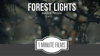 Forest Lights Bokeh ~ 1 Minute Films