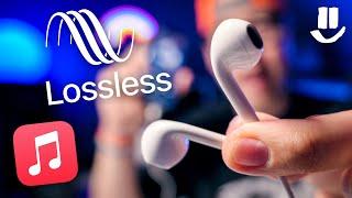 Do Apple EarPods work with LOSSLESS AUDIO?? 