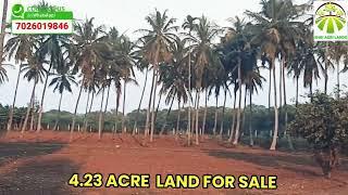 4.23 ACRE FARM LAND FOR SALE. From gundlupet 4KM.WHATSAPP 7026019846 #AGRICULTURE #LANDFORSALE