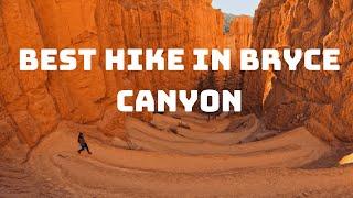 Two Bridges & Queens Garden BEST BRYCE CANYON HIKES - Guide