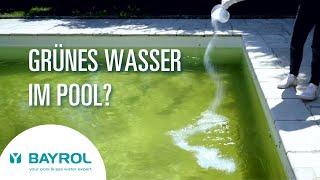 Grünes Wasser, Algen im Pool? So bekommen Sie Ihr Poolwasser wieder klar!