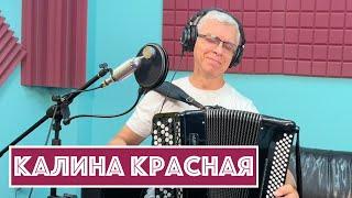 Горячий Баян - Калина красная