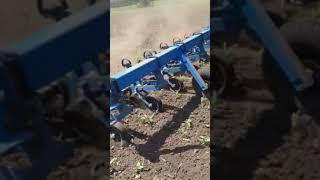 прополочный культиватор на пружинной стойке ЧП Агротехкомплект