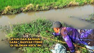 Ketemu Selokan kecil lagi yang banyak ikan nya di pinggir sawah