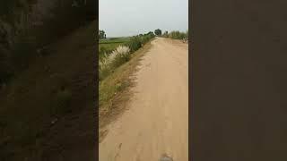 true dangerous area #entertainment #floodinpakistan #shorts #shortsvideo #comedyvideo