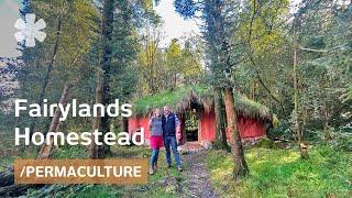 Left BBC's Planet Earth to start dream family homestead (full tour)