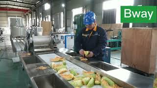 cantaloupe dice processing line factory video 2tons per hour