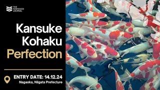 These Kohaku Results Left Me Speechless | The Nishikigoi Journal | EP #069