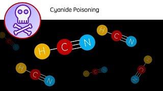 Cyanide Poisoning - HCN: a deadly poison | Biology revision video - GCSE A Level University