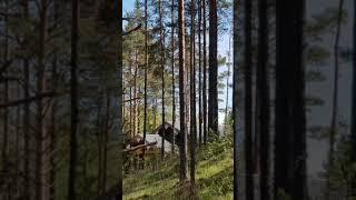 Загородная недвижимость — это наш дом! #загороднаянедвижимость #недвижимость #продажинедвижимости