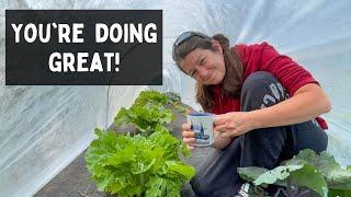 Garden Encouragement and How to Build a Low Tunnel | Homestead VLOG