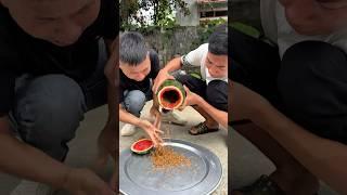We Cut Open a Melon… and It Gave Birth to BUGS! 🪰#couple #martialarts #comedyvideo