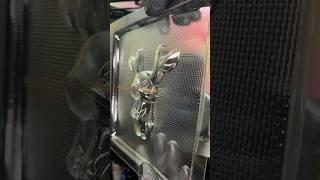 Making custom chocolate mold using 3D Printer Kobra 2 Neo and Mayku Form box