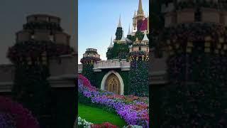 Miracle Garden - Dubai | World largest nature flower garden #shorts #miraclegarden #dubai #trending