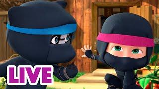  LIVE  Masha y el Oso 2024  Pareces un panda  Masha and the Bear