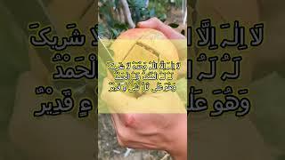 Hazrat Abu Huraira Ne Fermaya| Islamic Videos| #hadees