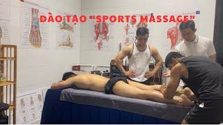 Đào Tạo Sports Massage Cơ Bản / Nội Bộ “Trị Liệu Thể Thao”