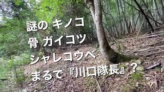 謎の キノコ 骨  ガイコツ シャレコウベ  まるで『川口隊長』?