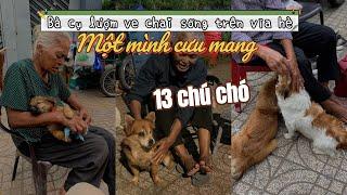 Sài Gòn Mến Thương | Bà Ba Ve Chai Và Tình Bạn với 13 Chú Chó Trên Vỉa Hè | Jayni Travel