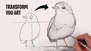 How To Draw American Robin | Bird Sketch Tutorial