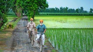 Pakistan Village Life | Punjab Fields & Beautiful Scenes 2018