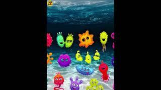 Why Sea Water Is Salty #shorts #knowledge